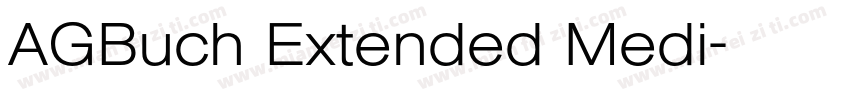 AGBuch Extended Medi字体转换